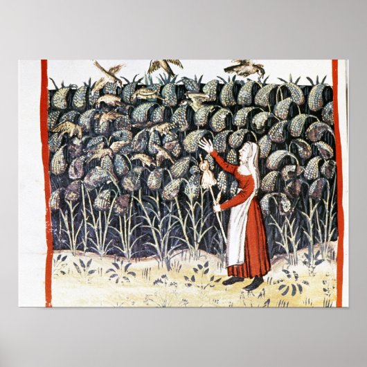 Frau schützt ihre Mühle Poster (Vorne)