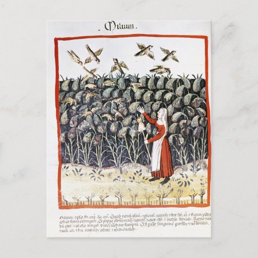 Frau schützt ihre Mühle Postkarte (Vorderseite)