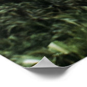 Frau stehend in Baumnähe Poster (Ecke)