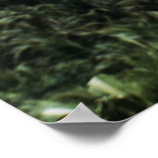 Frau stehend in Baumnähe Poster (Ecke)