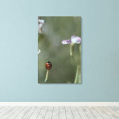 Frau Stem Leinwanddruck (Insitu (Holzboden))