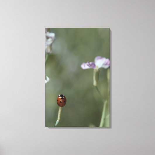 Frau Stem Leinwanddruck (Vorderseite)