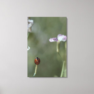 Frau Stem Leinwanddruck