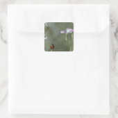 Frau Stem Quadratischer Aufkleber (Tasche)
