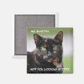 Frau Sweetpea the Tortie Magnet (Vorderseite/Rückseite)