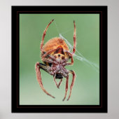 Frau Weaver Poster (Vorne)