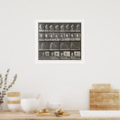 Frau wirft einen Eimer Wasser, Platte 401 aus ' Poster (Küche)