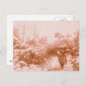 Frau Wood Gatherer Postkarte (Vorne/Hinten)
