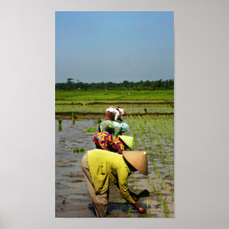 Frauen am Arbeitsplatz Poster