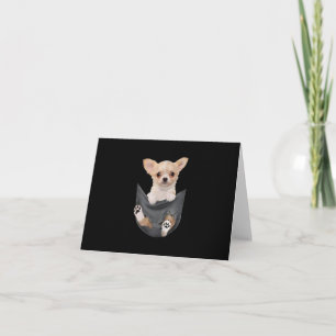 Frauen, die Chihuahua lieben, in ihren Pocket-Hund