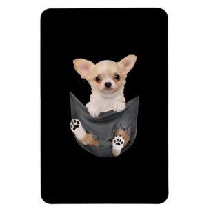 Frauen, die Chihuahua lieben, in ihren Pocket-Hund Magnet
