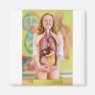 Frauen, die menschlichen Körper mit inneren Organ Magnet