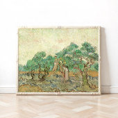 Frauen, die Oliven picken, Van Gogh Poster