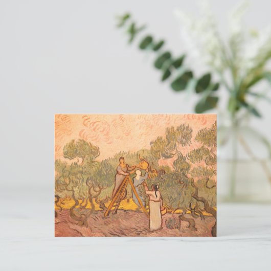 Frauen, die Oliven von van Gogh picken: Postkarte (Stehend Vorderseite)