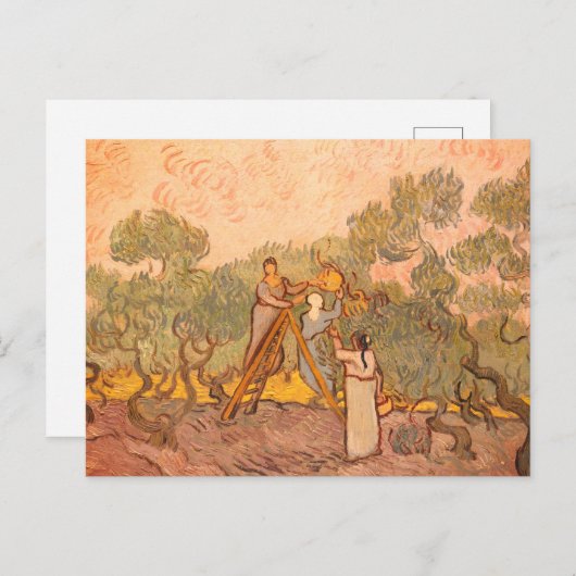 Frauen, die Oliven von van Gogh picken: Postkarte (Vorne/Hinten)