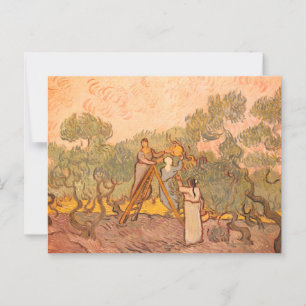 Frauen, die Oliven von van Gogh picken: Postkarte