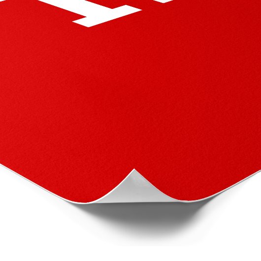 FRAUEN FÜR TRUMP POSTER (Ecke)