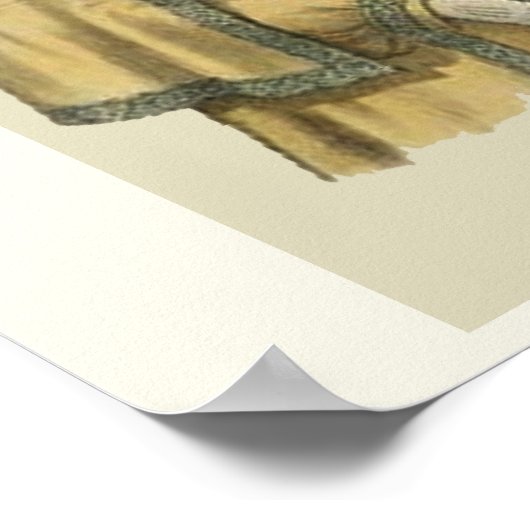 Frauen Hats 1905 Boston Poster (Ecke)