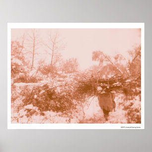 Frauen-Holz-Sammler Poster