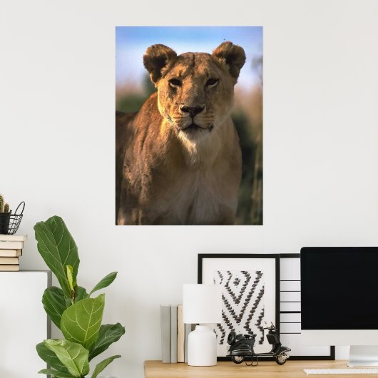 Frauen Lioness Löwe Gift Poster (Heimbüro)