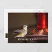 Frauen mit Ruby-Kehle Hummingbird denken an Sie Postkarte (Vorne/Hinten)