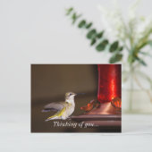 Frauen mit Ruby-Kehle Hummingbird denken an Sie Postkarte (Stehend Vorderseite)