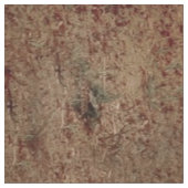 Frauen mit weißem Pferd - LG Print Stoff (Nahaufnahme)