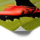 Frauen-Rugby-Kunstdrucke Poster (Ecke)