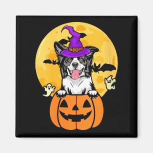Frauen Schwarz-Weiß Border Collie Hexen Hund Magnet