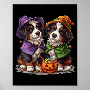 Frauen Süße Berner Sennenhunde Hexe Kürbis Poster
