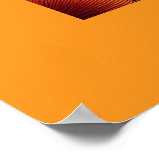 Frauen trinken ein Getränk auf der Couch Poster (Ecke)