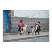 Frauen und Alpacas, Cusco, Peru