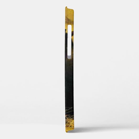 Frauen und Pferd Case-Mate iPhone Hülle (Rückseite / Links)