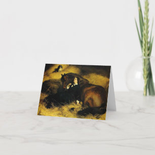 Frauen und Pferd Einladung