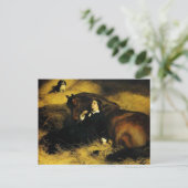 Frauen und Pferd Postkarte (Stehend Vorderseite)