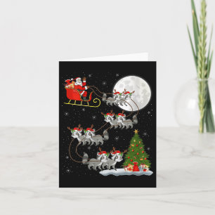 Frauen Waschbär Weihnachtsmann Schlitten Fliegend  Karte