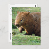 Frauengesicht Postkarte (Vorne/Hinten)