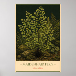 Frauenhaarfarn – Vintage botanische Illustration Poster