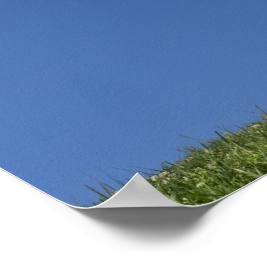 Frauenjubelleiter springt in die Luft 3 Poster (Ecke)