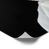 Frauenmäuse darstellend an der Straßenecke Poster (Ecke)