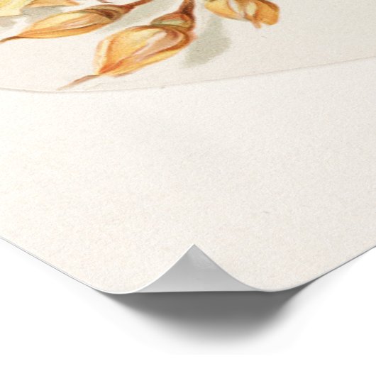 Frauenportrait umrahmt mit Gelben Rosen Poster (Ecke)