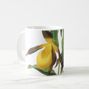 Frauenschleifer (Cypripedium sp.) von Redouté Kaffeetasse