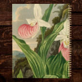 Frauenschuh alte Floral Orchidee Botanik Planer