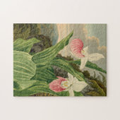 Frauenschuh alte Floral Orchidee Botanik Puzzle (Horizontal)