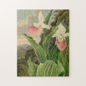 Frauenschuh alte Floral Orchidee Botanik Puzzle (Vertikal)