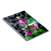 Frauenschuh I, rosa grüne Garten-Freude Notizblock (Rechte Seite)