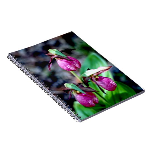 Frauenschuh I, rosa grüne Garten-Freude Notizblock (Rechte Seite)