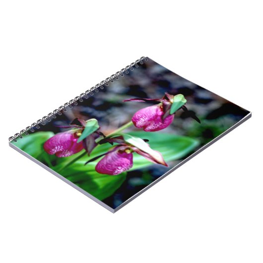 Frauenschuh I, rosa grüne Garten-Freude Notizblock (Linke Seite)