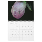 Frauenschuh-Orchideenblüten Kalender (Feb 2027)