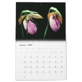 Frauenschuh-Orchideenblüten Kalender (Jan 2027)